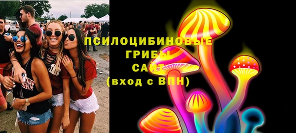 молекула духа Абинск